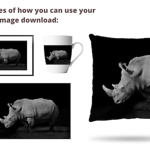 White Rhino on Black Background Wildlife Photography Printable Wall Art