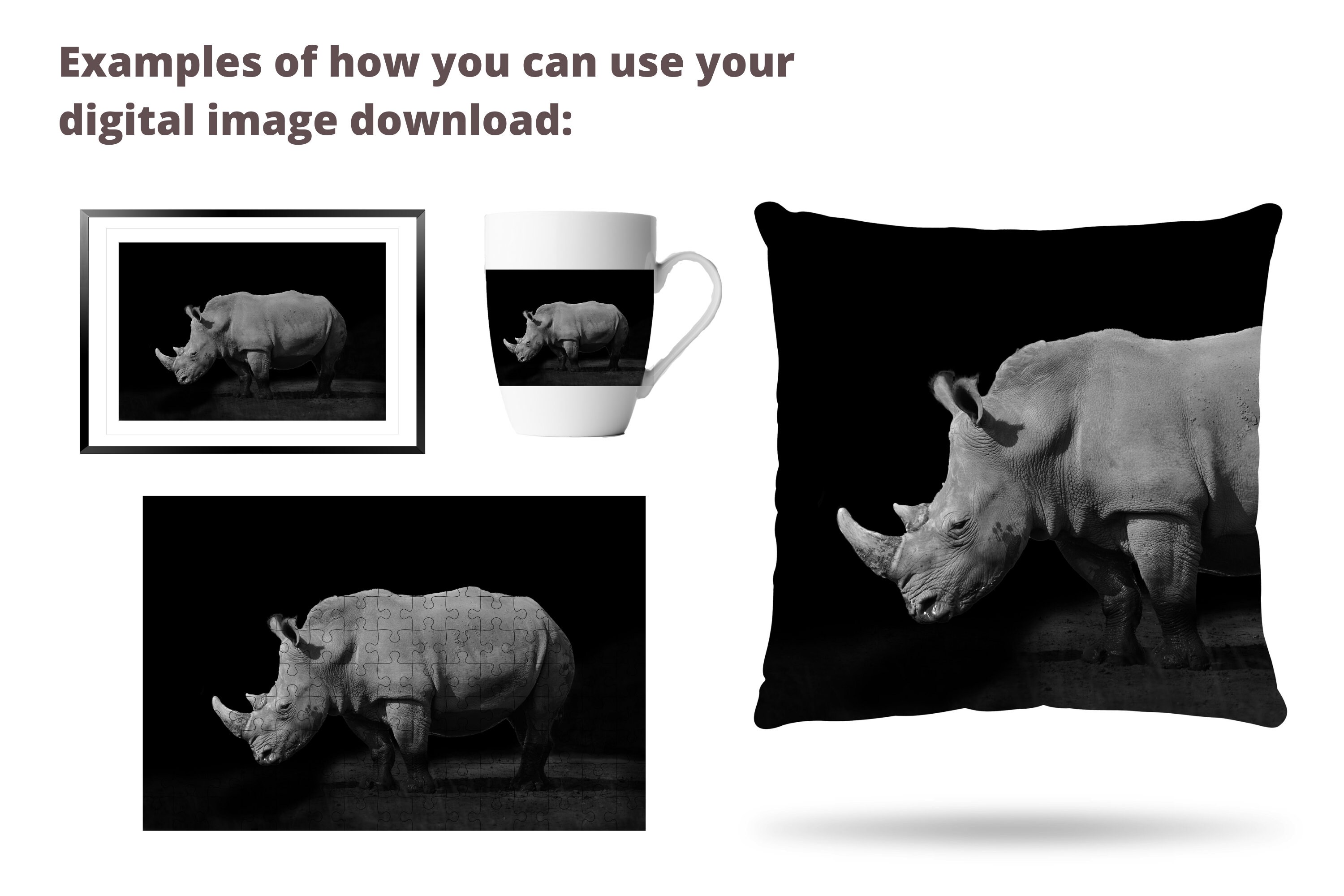 White Rhino on Black Background Wildlife Photography Printable Wall Art
