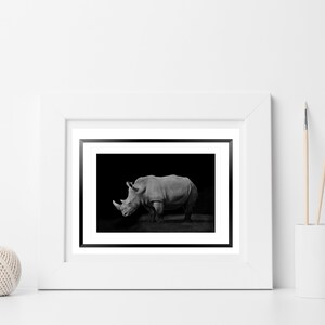 White Rhino on Black Background Wildlife Photography - Etsy Australia