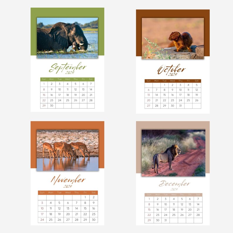 Printable Calendar 2024: African Wildlife Wildlife Calendar 12 Month 