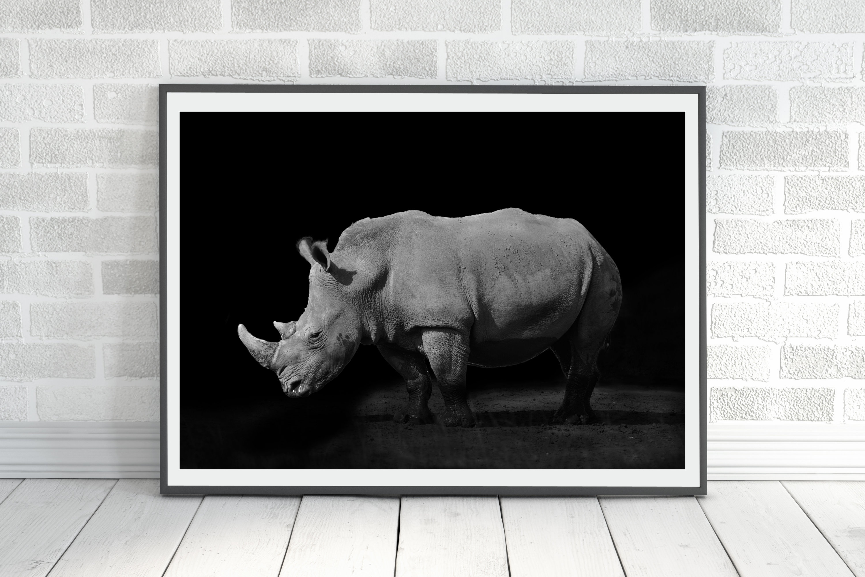 White Rhino on Black Background Wildlife Photography Printable Wall Art