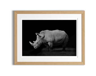 Rhinocéros blanc sur fond noir | Photographie animalière | Art mural imprimable | Décoration d'intérieur, Rhinocéros à imprimer,