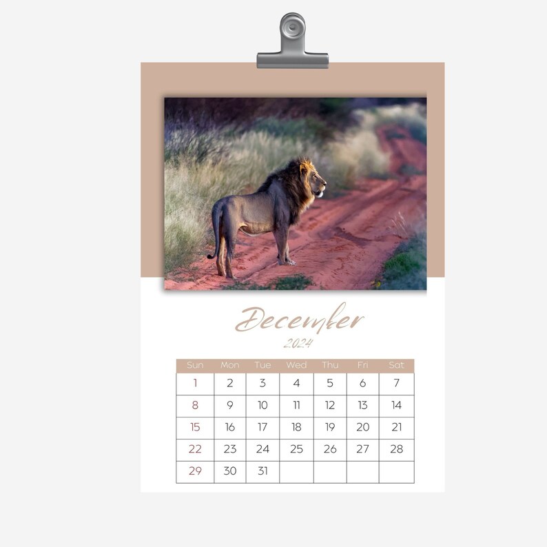 Printable Calendar 2024 African Wildlife Wildlife Calendar 12 Month