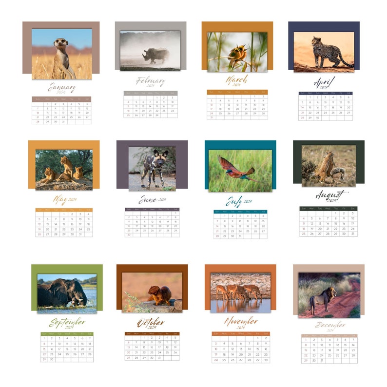 Printable Calendar 2024 African Wildlife Wildlife Calendar 12 Month