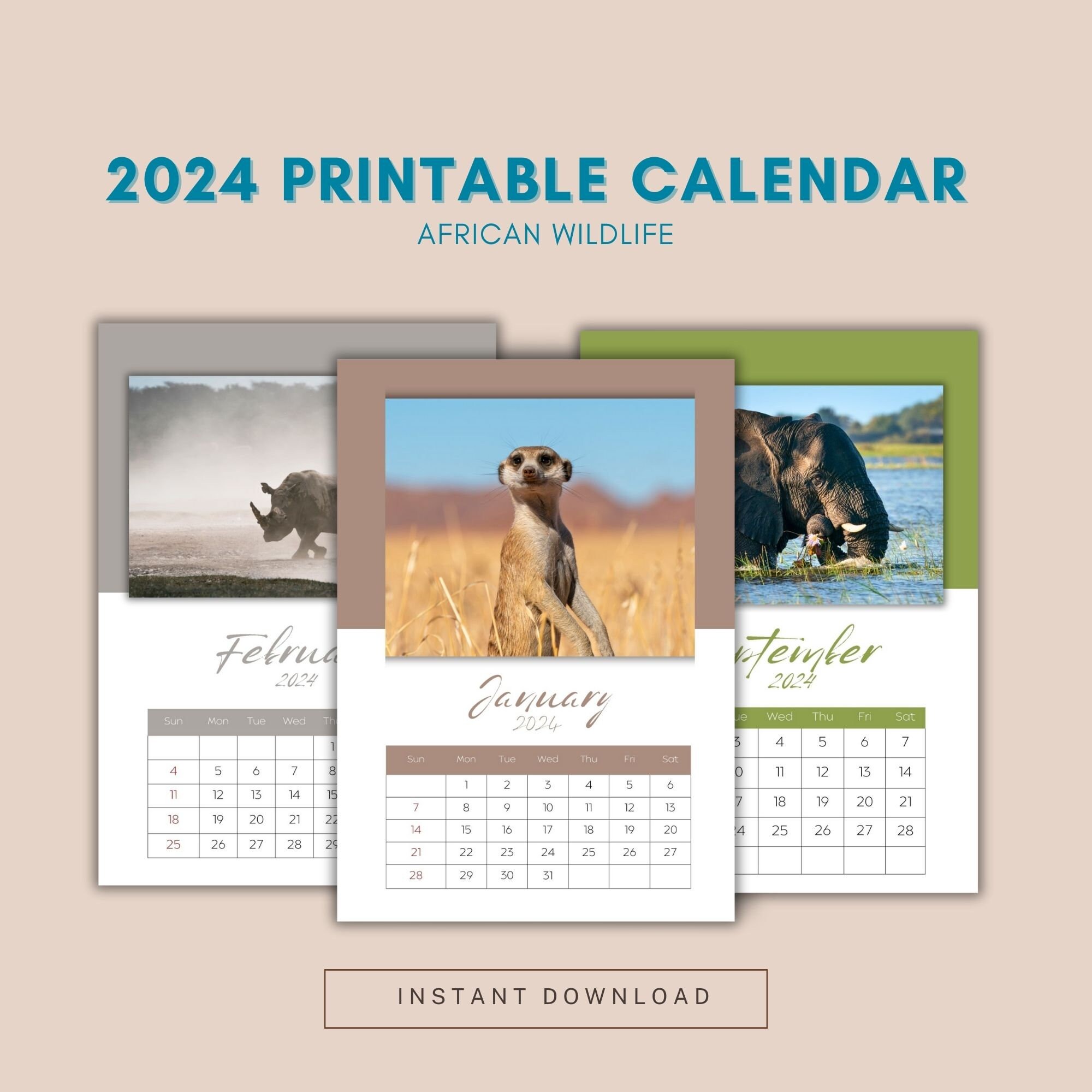 Printable Calendar 2024 African Wildlife Wildlife Calendar 12 Month