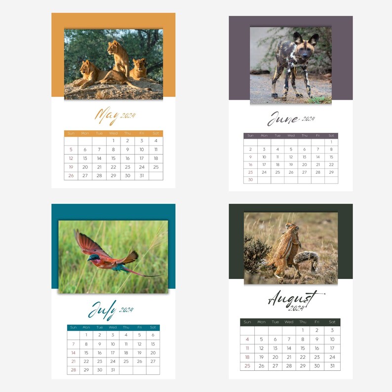Printable Calendar 2024 African Wildlife Wildlife Calendar 12 Month