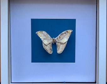 Sierlijke porseleinen vlinderdooslijst