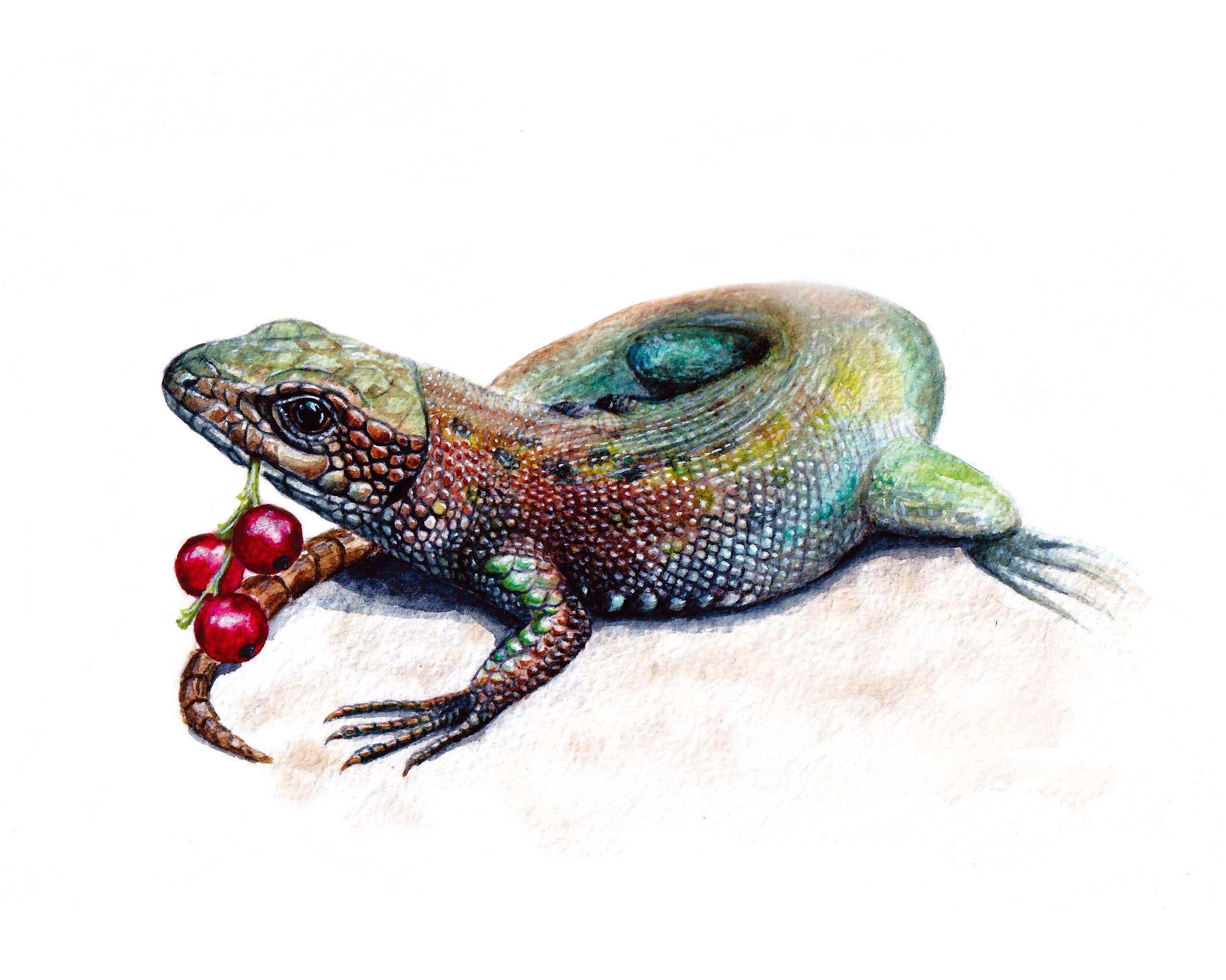 Lizard printable watercolor art Reptile wall decor Etsy