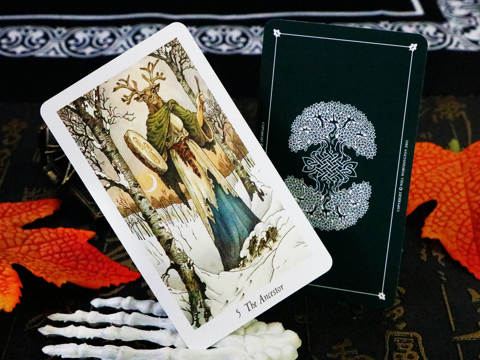 Wildwood Tarot card deck with Guidebook / 78 Cards Tarot card Etsy