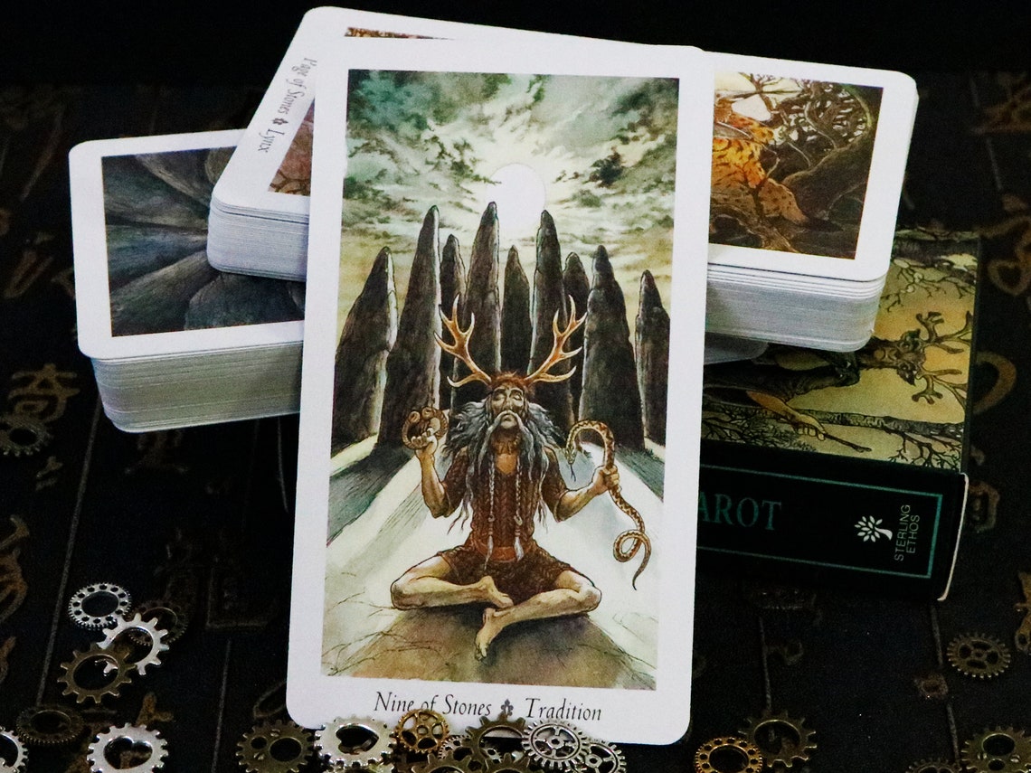 Wildwood Tarot card deck with Guidebook / 78 Cards Tarot card Etsy