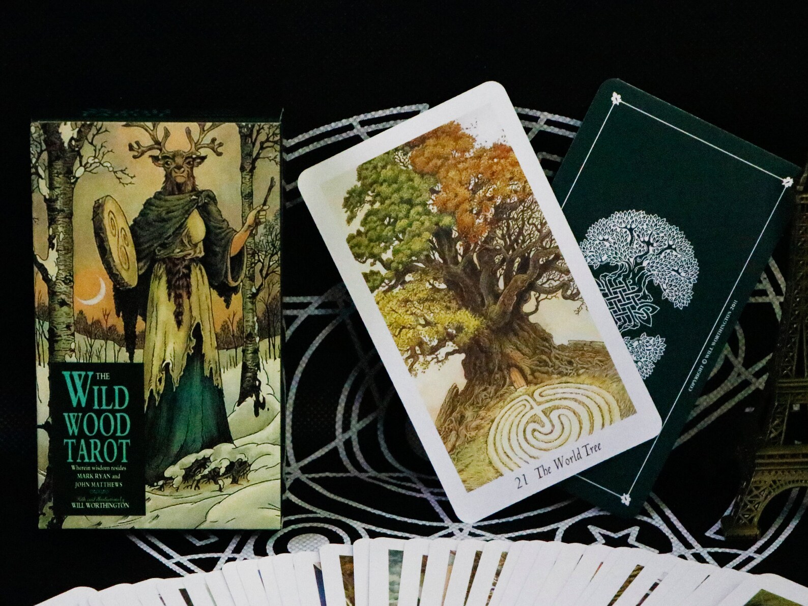 Wildwood Tarot card deck with Guidebook / 78 Cards Tarot card Etsy