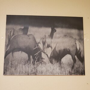 Engraved Photo on canvas Engraved Wall Art naturel lover wall picture outdoorsman décor