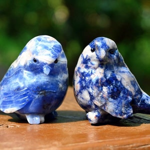 2.4&#39;&#39; Natural Sodalite Bird carved，Crystal Bird decor，Jade birds，Bird figurine，Bird ornament，Home decor，Crystal gift，Riki Healing