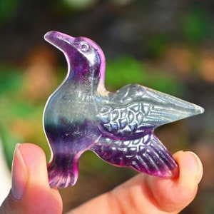 1,6 &#39;&#39; natürlicher Fluorit-Kolibri geschnitzt, Kristallvogeldekor, Kristallgeschenk, Kristallverzierung, Wohnkultur, Kristallfigur, Reiki-Heilung