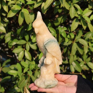 0.8kg Natural Jade stone Parrot carved，Quartz Crystal parrot，Crystal figurine，Home decor，Crystal gift，Crystal Healing