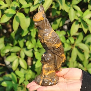 0.8kg Natural Jade stone Parrot carved，Quartz Crystal parrot，Crystal figurine，Home decor，Crystal gift，Crystal Healing