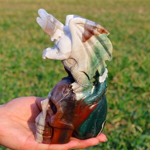 7.6&#39;&#39; Natural Hand Carved Ocean jasper Dragon skull，Crystal Skull，Crystal gift，Crystal Dragon，Crystal gift，Home decor，Crystal healing SK49