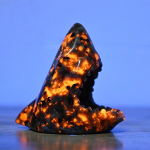 May include: A black and orange shark sculpture carved from stone. The sculpture is lit from within, creating a glowing effect.