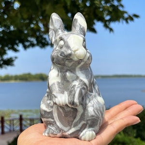 6 &#39;&#39; Natürlicher Muschelsteinkaninchendekor, Kristallkaninchen geschnitzt, Kaninchenfelsen, Kristallgeschenk, Kristalltierschnitzerei, Kaninchenfigurine, Kristallheilung