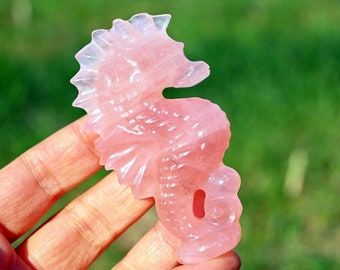 May include: A pink rose quartz seahorse carving. The carving is detailed and intricate, with a smooth, polished finish.