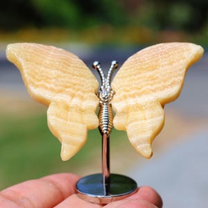 3&#39;&#39; Natural Geodes stone Butterfly wings，Crystal Butterfly decor，Wings Carving，Butterfly figurine，Home decor，Crystal gift，Crystal healing