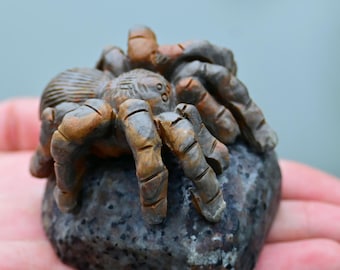 May include: A detailed, hand-carved spider figurine, resting on a small, speckled stone. The spider has a brown and tan body with intricate leg details. The stone is a dark gray color.