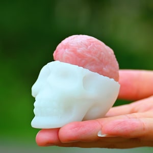May include: A white skull figurine with a pink brain resting inside. The skull is held in a hand against a blurred green background. The brain is a light pink color and has a textured surface.