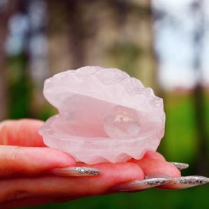 Può includere: Una conchiglia di quarzo rosa rosa scolpita con una perla all'interno. Il guscio è tenuto in una mano con unghie lunghe e curate. Lo sfondo è sfocato con toni verdi e marroni.