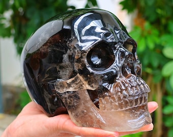 THE SKULL DISK NATURE TONES × DAMNGOOD Custom Pro Tabletop Skull Fountain – Pond and Garden Depot