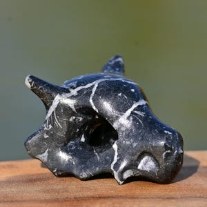 以下が含まれることがあります： 黒と白の大理石の彫刻で、様式化された動物の頭蓋骨です。彫刻は、白い静脈を持つ滑らかで磨かれた表面を持っています。頭蓋骨は木製の表面に置かれています。