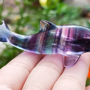 2.6&#39;&#39; Natural Hand carved Fluorite dolphin，quartz crystal，Crystal decor, Crystal dolphin skull，Crystal gift，Crystal ornament，Crystal healing