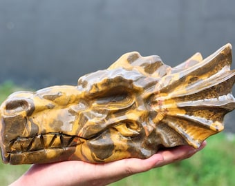 9.2'' Cráneo de dragón de piedra de hilo dorado natural, Cráneo de dragón de cristal tallado, Colección de cráneo de cristal, Adorno de cristal, Regalo de cristal, Sanación de cristal