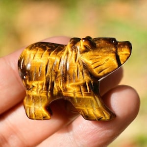 1.6&#39;&#39; Natural Tiger Eyes jasper bear carved，Crystal bear decor，Crystal bear Figurine，Crystal bear，Home decor，Reiki healing