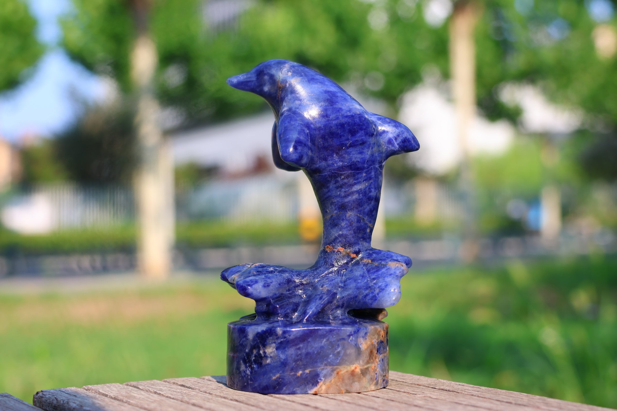4.8'' Natural Sodalite Dolphin，crystal Dolphin Carved，dolphin