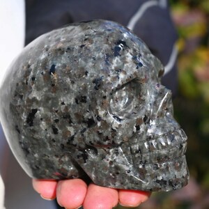 May include: A black and grey speckled skull carved from stone. The skull is detailed with a defined jawline and teeth.