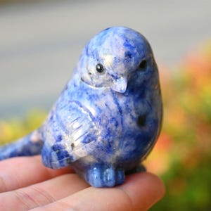 2.4&#39;&#39; Natural Sodalite Bird，Crystal Bird carving，Jade birds，Bird figurine，Bird ornament，Home decor，Crystal gift，Riki Healing