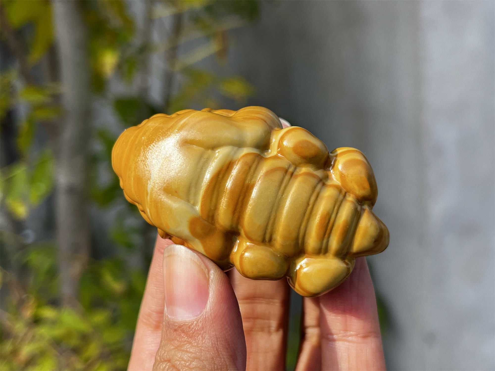 2.6'' Natural Hand Carved Alashan Agate Crocodile，crystal