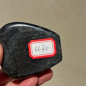 May include: A dark gray, smooth, oval-shaped stone with a red label that says "SC20".