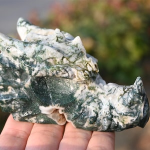 4&#39;&#39; Natural Moss agate Dragon head，Crystal Dragon carving， Crystal Dragon decor， Dragon skull，Dragon Figurine，Crystal healing
