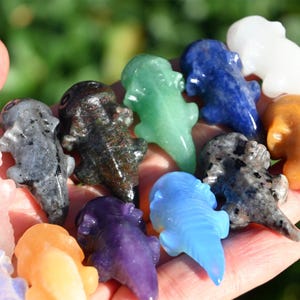 3cm Natural Quartz crystal Cynops orientalis，Crystal salamander figurine，Salamandrid carved，Crystal gift，Crystal collect，Reiki healing