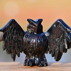 May include: A dark brown carved owl figurine with outstretched wings. The owl is made of a polished, possibly stone-like material, with detailed feather and wing patterns. The background is blurred, with warm tones.