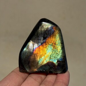 May include: A dark gray labradorite crystal with iridescent blue, green, and orange flashes. The crystal is shaped like a freeform point and has a smooth, polished surface.