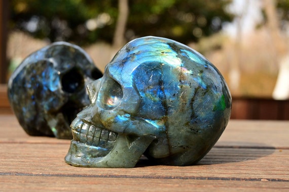 2.2 Natural Obsidian Hand Carved Quartz Crystal Snail Skull Healing Reiki 1PC