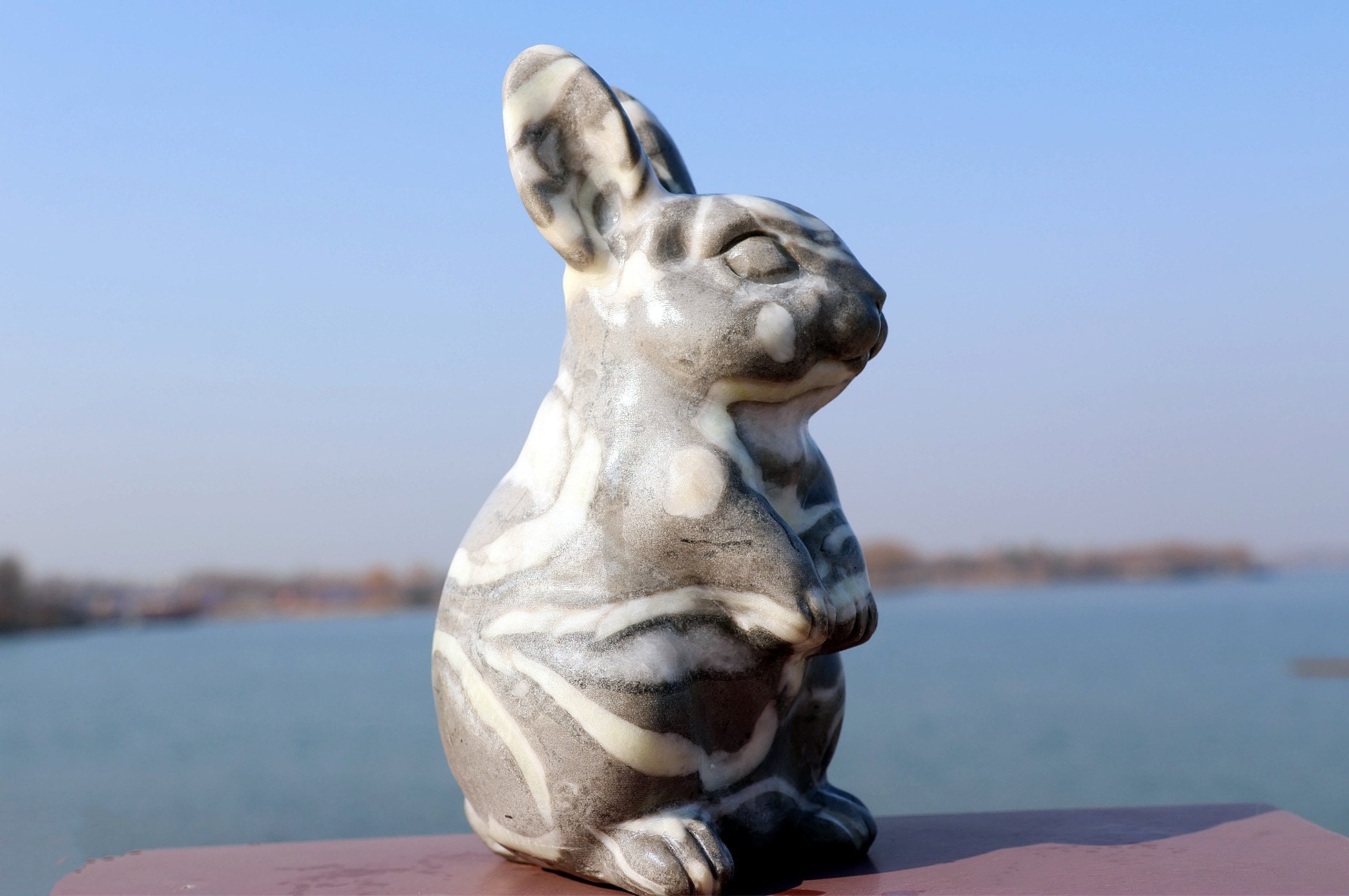 Coconut Shell Rabbit 6'' Natural Shell Stone Rabbit Decor, Crystal Rabbit Carved,rabbit Rock ...