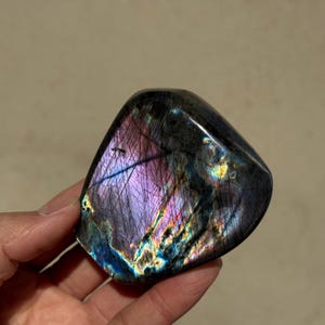 May include: A polished, dark gray labradorite crystal with iridescent purple, blue, and gold flashes. The crystal is shaped like a rounded, irregular triangle.