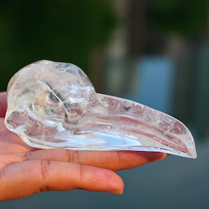 Sculpture crâne de corbeau en quatz transparent naturel 3,8 pouces, crâne d'oiseau en cristal, crâne de corbeau en cristal, décoration d'intérieur, pendentif en cristal, cadeau en cristal, guérison