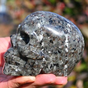 May include: A black and grey granite skull sculpture. The skull is polished and has a speckled appearance.
