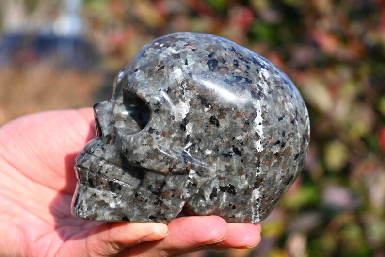 May include: A black and grey granite skull sculpture. The skull is polished and has a speckled appearance.