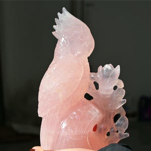 1.16KG Natural Rose quartz Parrot carving，Quartz Crystal，Hand carved Parrot，Parrot Figurine，Crystal gift，Home Decor，Crystal Healing ZW141