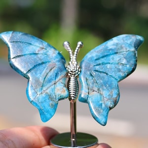 3&#39;&#39; Natural Blue agustite Butterfly wings，Crystal Butterfly decor，Wings Carving，Butterfly figurine，Home decor，Crystal gift，Crystal healing